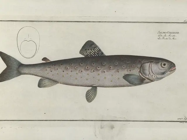 Fresh Promotions of Modifiers for Big Bass Reel Announced with Bonus Incentives